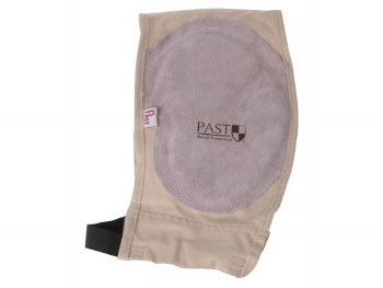 PAST Magazine Plus Shield