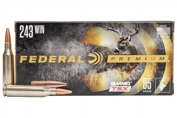 FEDERAL PREMIUM 243 85G TSX
