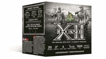 HEVI XII 20G 3 1-1/4Z 1350FPS 6