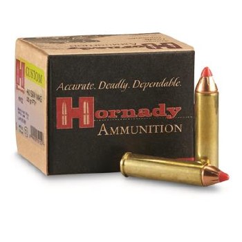 HORNADY 460 S&W 200G FTX