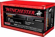 Winchester 17hmr 17gr