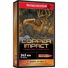 WINCHESTER COPPER IMPACT 243 85G