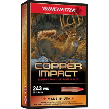 WINCHESTER COPPER IMPACT 243 85G