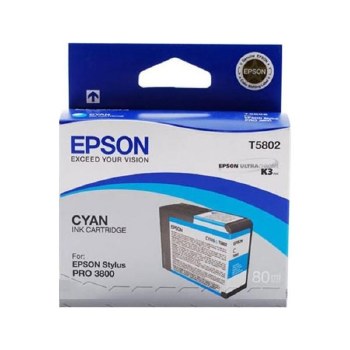 Epson T580 Series Inks T5820 Maintenance Cartridge