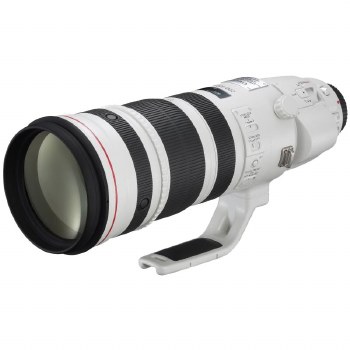 Canon EF 200-400mm F4L IS USM
 Lens