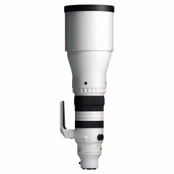 Sigma 300-600mm F4 DG OS Sports for L-Mount