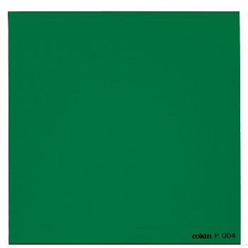 Cokin - Green Filter - Medium Size (P Series)