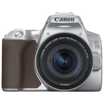 Canon EOS 250D Silver Camera with Brown trim and EF-S 18-55mm IS STM Lens
