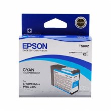 Epson T580 Series Inks T5820 Maintenance Cartridge