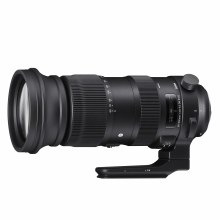 Sigma  60-600mm F4.5-6.3 DG OS HSM Sports Lens for Nikon F