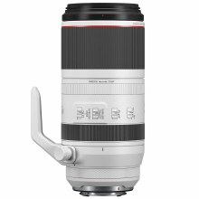 Canon RF 100-500mm F4.5-7.1 L IS USM Lens