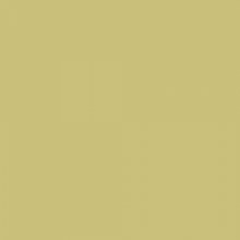 Additional picture of Colorama 9ft Fern Paper Roll (2.72 x 11m)