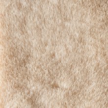 Additional picture of Rycote Overcovers Advanced Fur Disc Wind Covers for Lavalier Mics (5 Beige, 25 Round Stickies)
