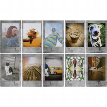 Additional picture of Fujifilm Instax Mini Colour Film with Stone Grey Border (10 Sheets)