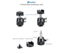 Additional picture of Leofoto F-19 Mini Ballhead