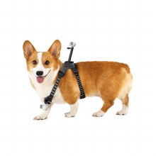 Additional picture of Insta360 Pet Harness Mount Size M