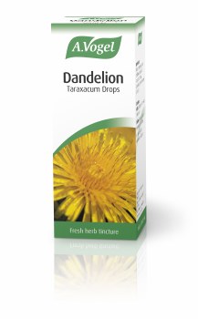 A Vogel Dandelion