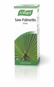 A Vogel Saw Palmetto
