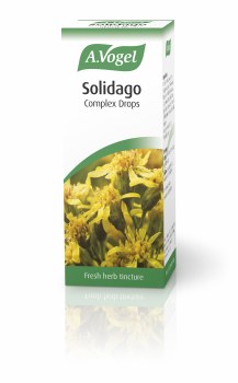 A Vogel Solidago Complex