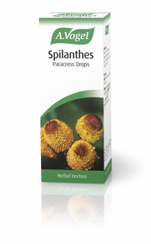 A Vogel Spilanthes