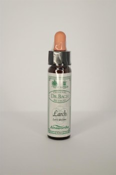 Dr Bach Larch Flower Remedy