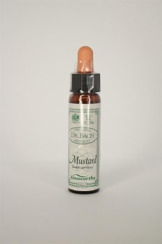Dr Bach Mustard Flower Remedy