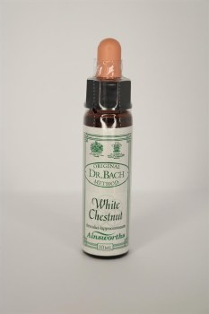 Dr Bach White Chestnut Flower Remedy