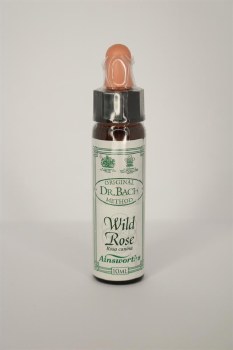 Dr Bach Wild Rose Flower Remedy