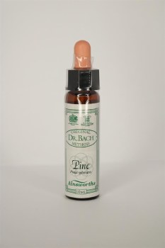 Dr Bach Pine Flower Remedy