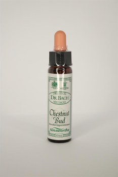 Dr Bach Chesnut Bud Flower Remedy