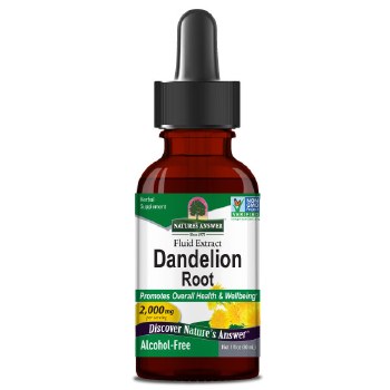 Natures Answer Dandelion Extract 30ml