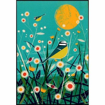 Shared Earth Greetings Card Blue Tit
