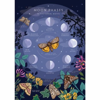 Shared Earth Greetings Card Moon Phases