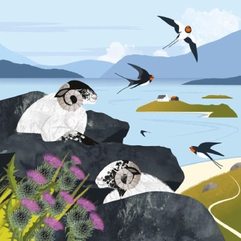 Shared Earth Sleeping Sheep and Swallows