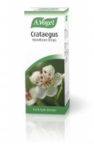 A Vogel Hawthorn Crataegus