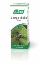 A Vogel Ginkgo biloba