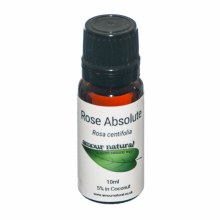 Rose Absolute 5% Dilute Oil