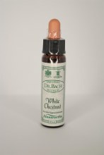 Dr Bach White Chestnut Flower Remedy