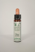 Dr Bach Pine Flower Remedy
