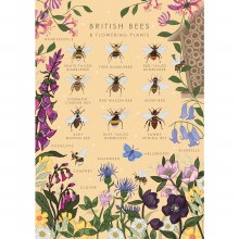 Greetings card Britidh Bees