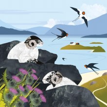 Shared Earth Sleeping Sheep and Swallows
