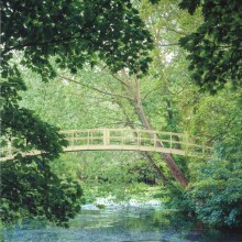 Shared Earth Greetings Card Through The Trees