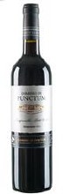 Dominio De Punctum Tempranillo Petit Verdot