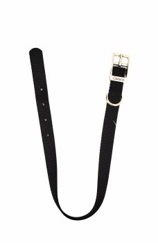 Coastal Black Nylon Collar 18&quot;