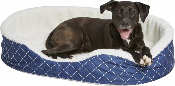 Midwest Quiet Time Couture Blue Orthopedic Nesting Bed 43&quot;