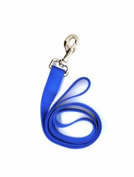Coastal Blue 4 Foot Nylon Leash 1"