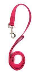 Coastal Fuschia 6 Foot Nylon Leash 1"