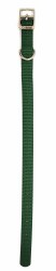 Coastal Hunter Green Nylon Collar 12"