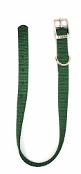 Coastal Hunter Green Nylon Collar 16"