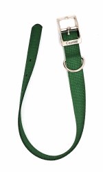 Coastal Hunter Green Nylon Collar 18"